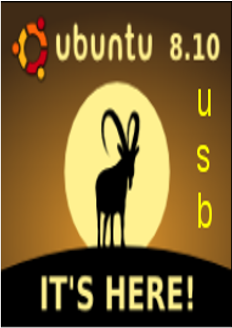 ubuntulive usb